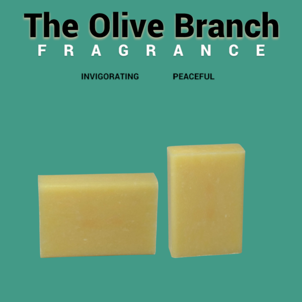 The Olive Branch